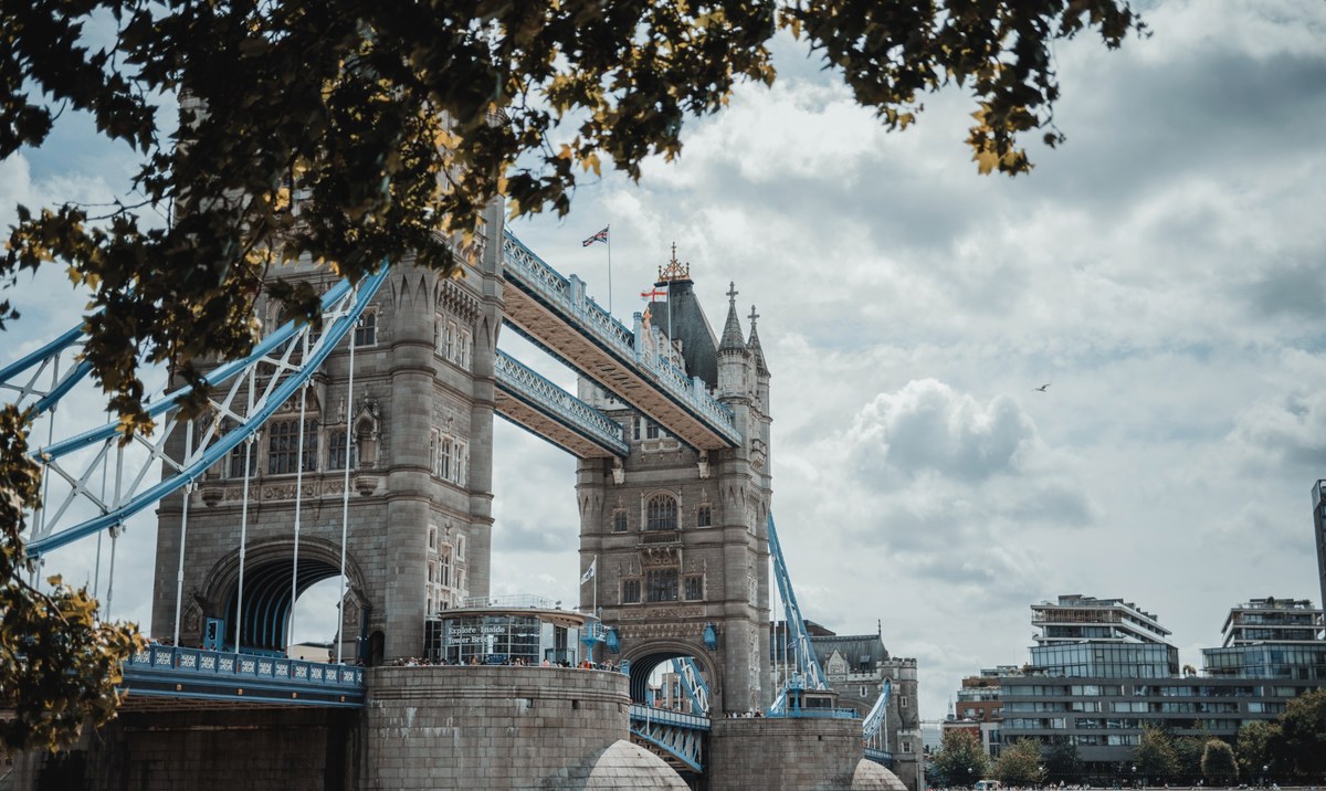 Tower Bridge in Londen door een boom heen.