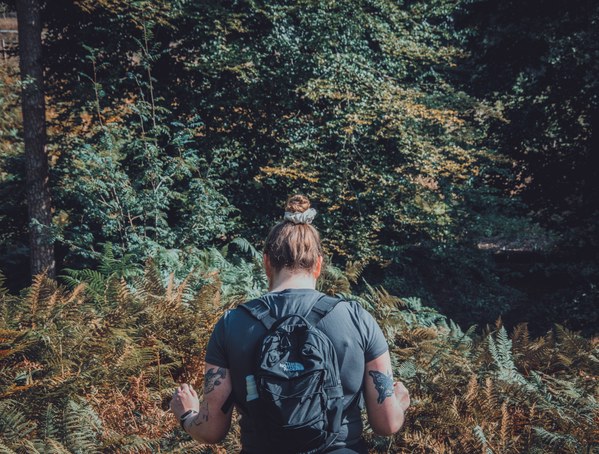 De Veluwe