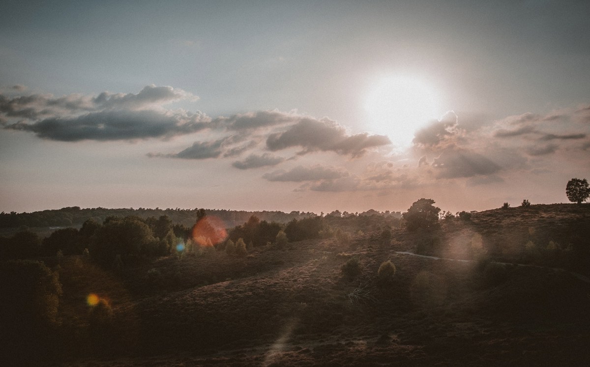 De Veluwe