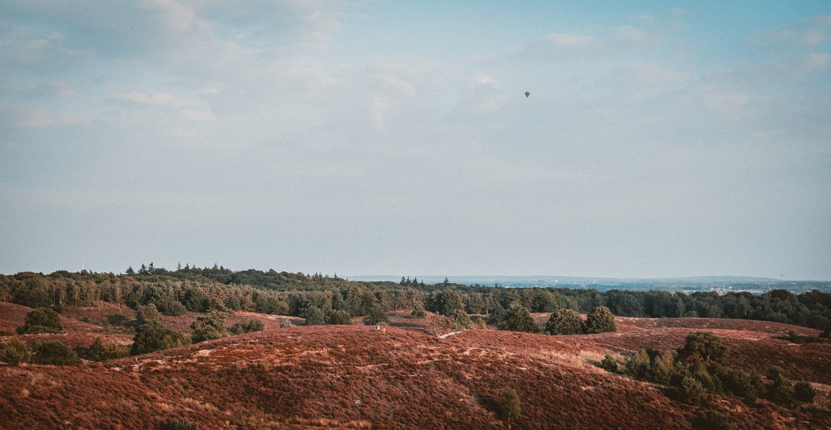 De Veluwe