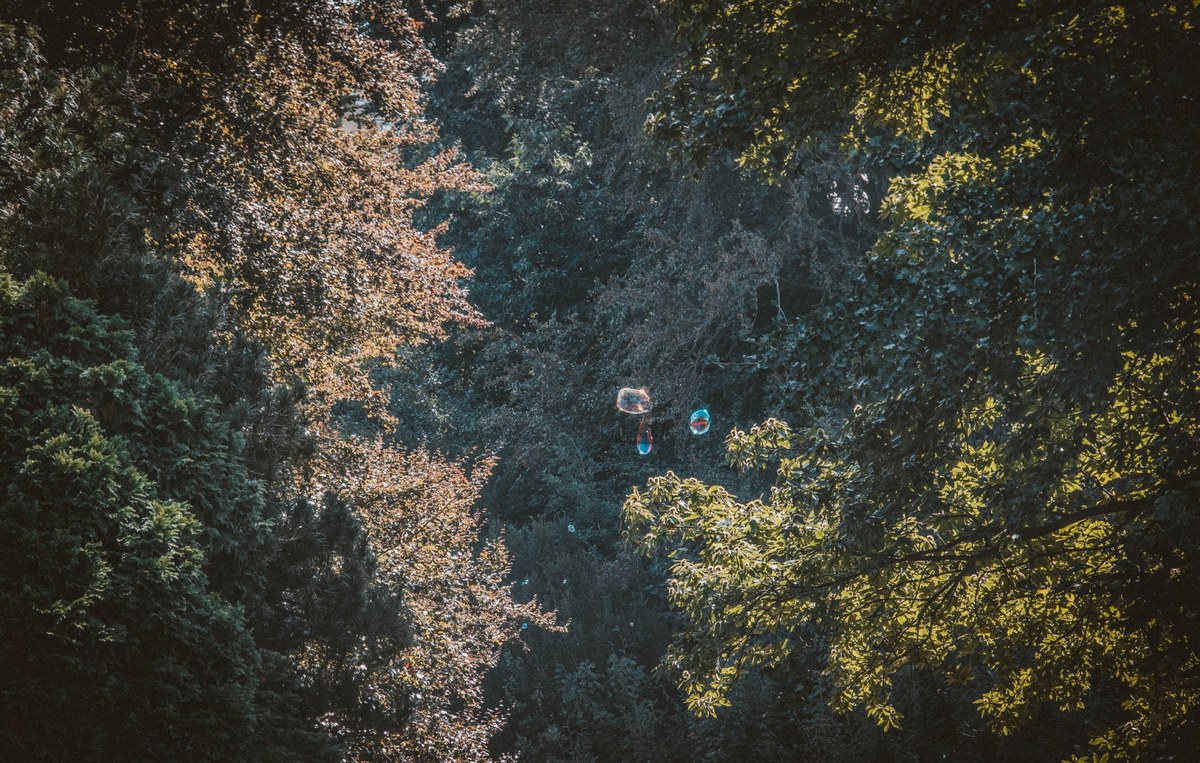 De Veluwe
