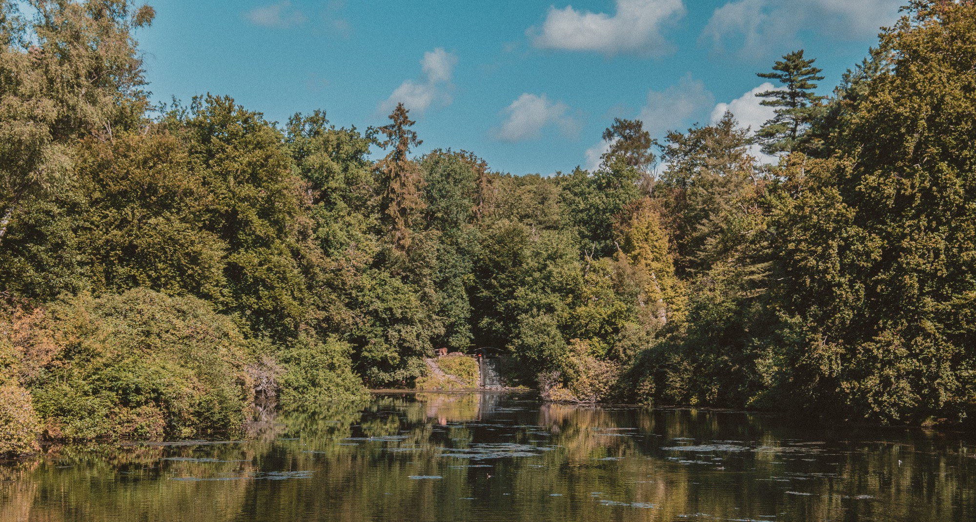De Veluwe