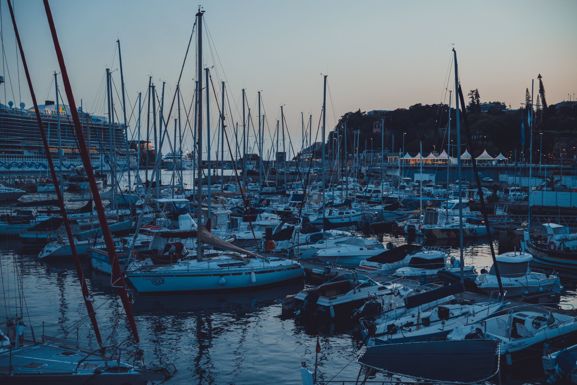 Boten in de jachthaven