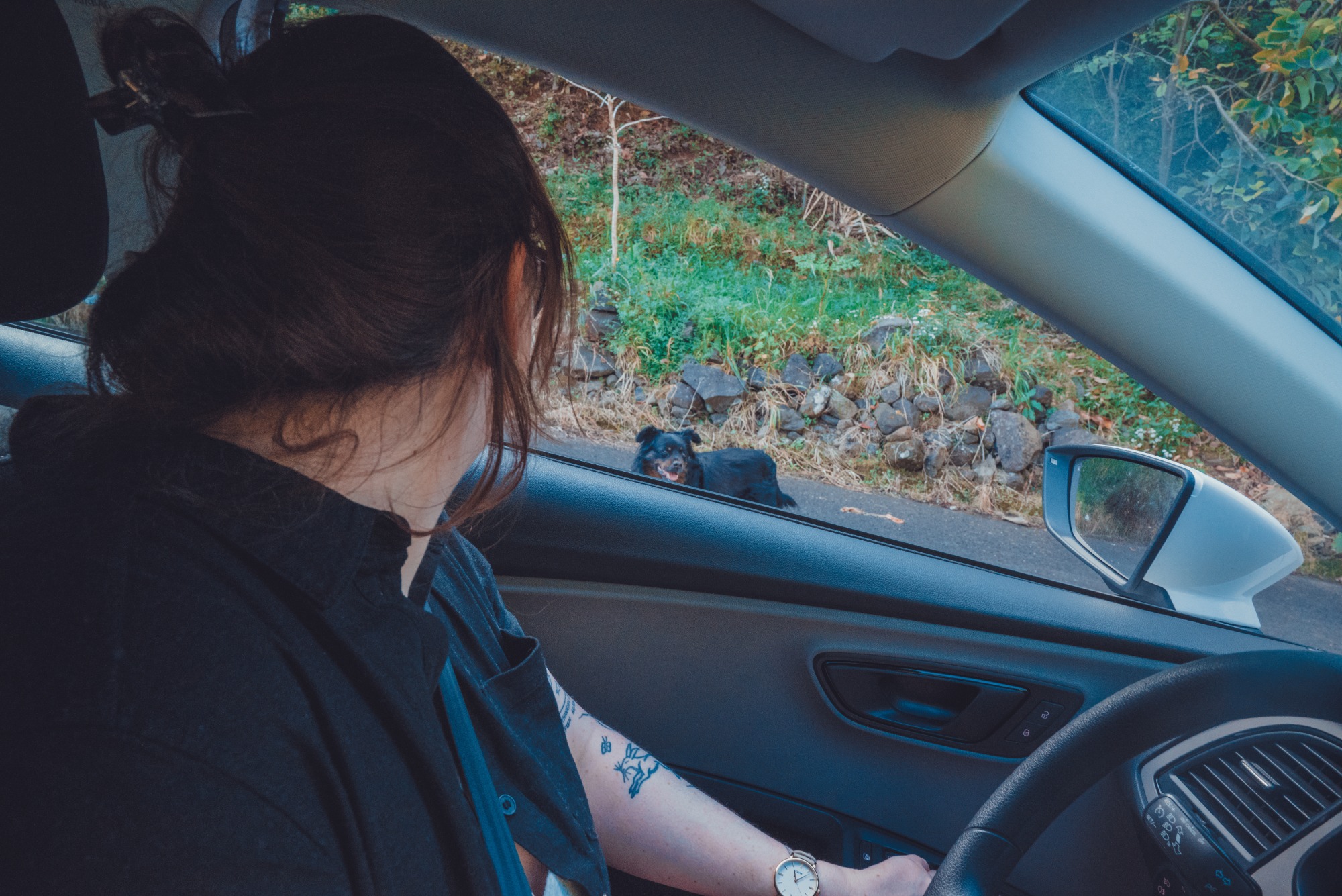 Veerle in de auto met een hond