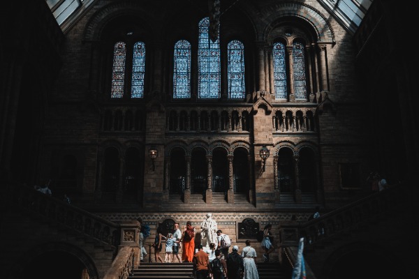 Een wit beeld van Charles Darwin in het zonlicht dat door het dak van het Natural History Museum binnenvalt.