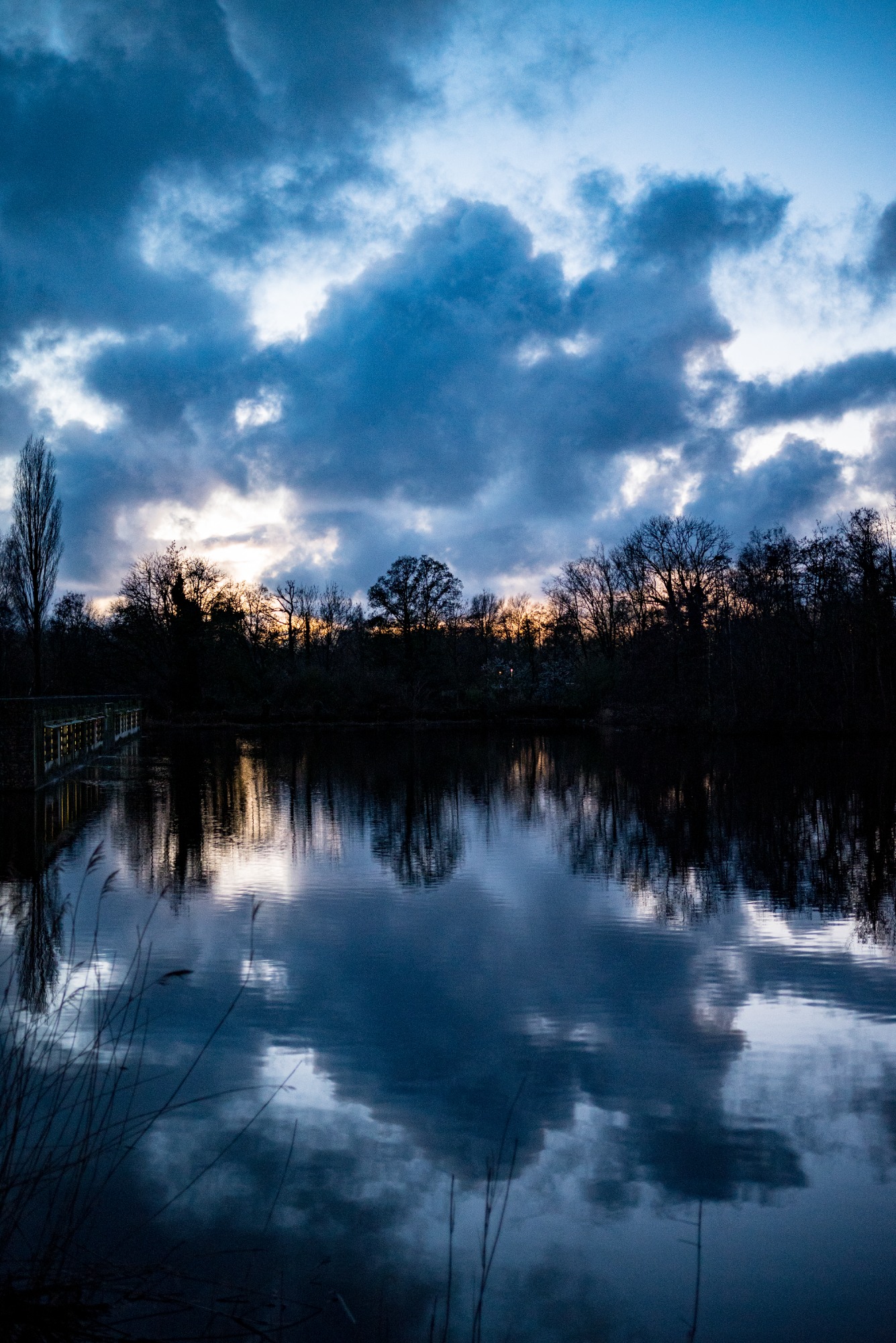 Park met vijver in de avond