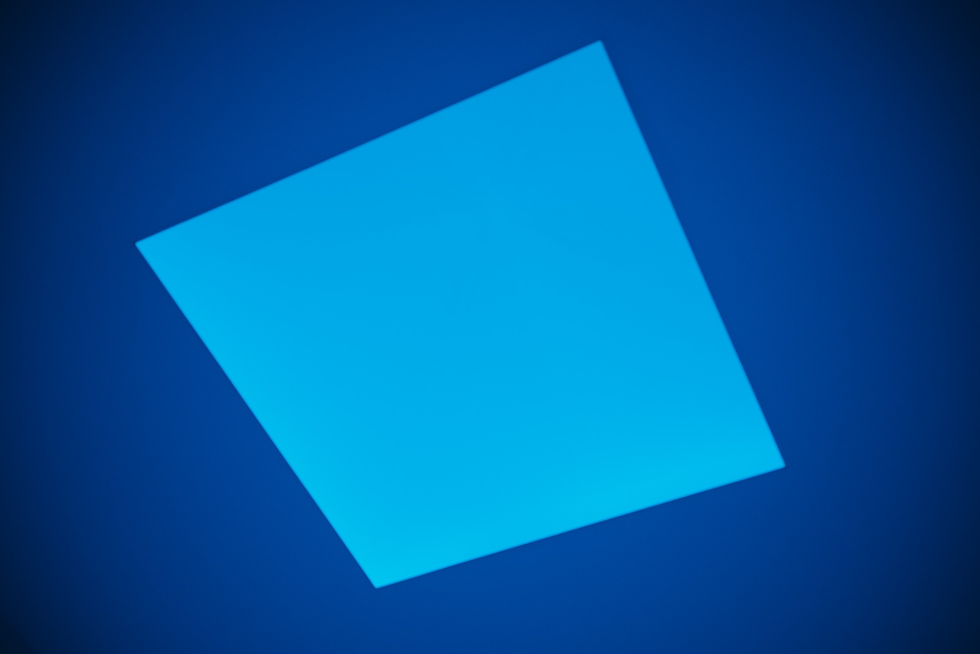 Het plafond in een ruimte van Museum Voorlinden