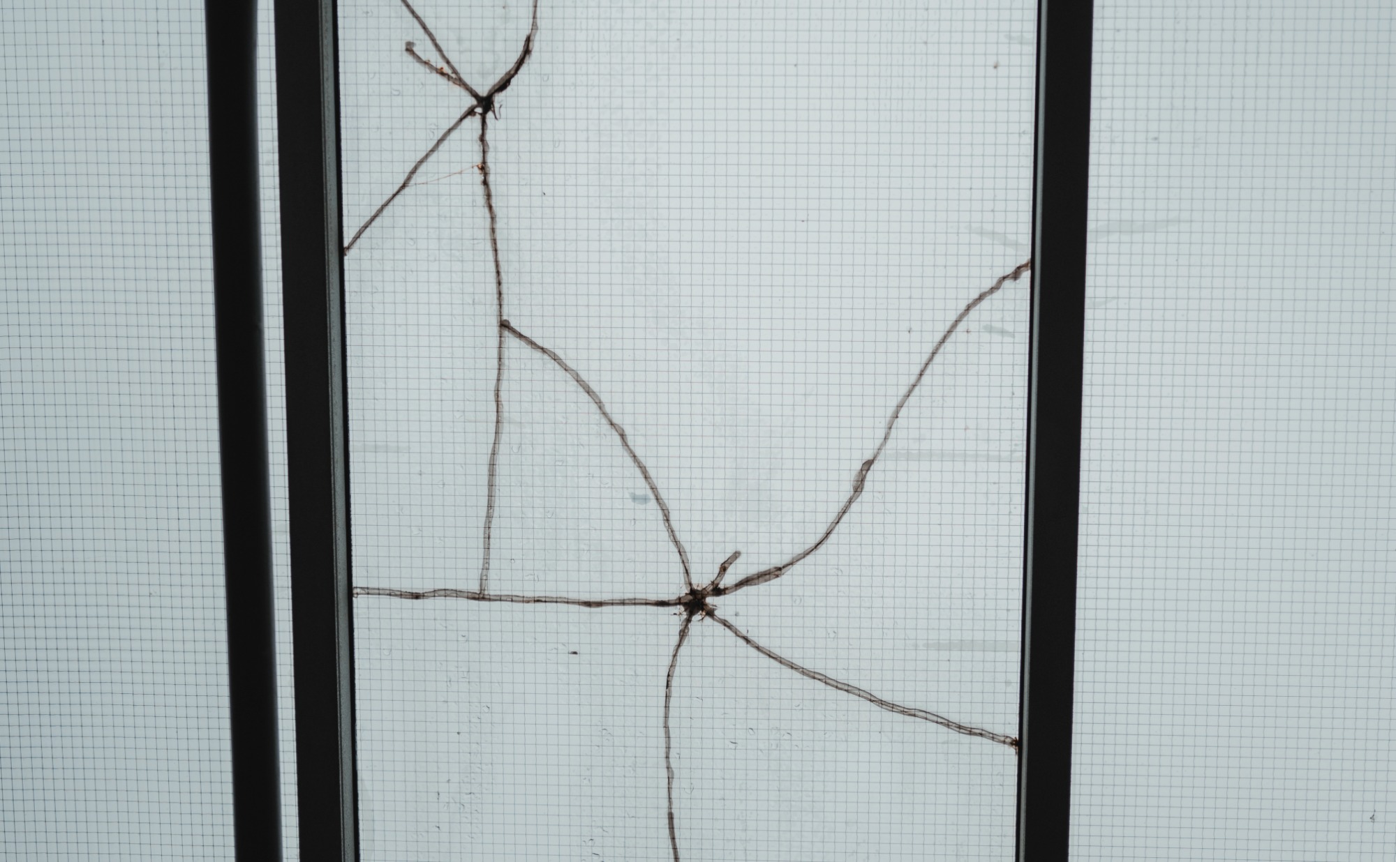 Een barst in het raam in het Royal Delft Museum