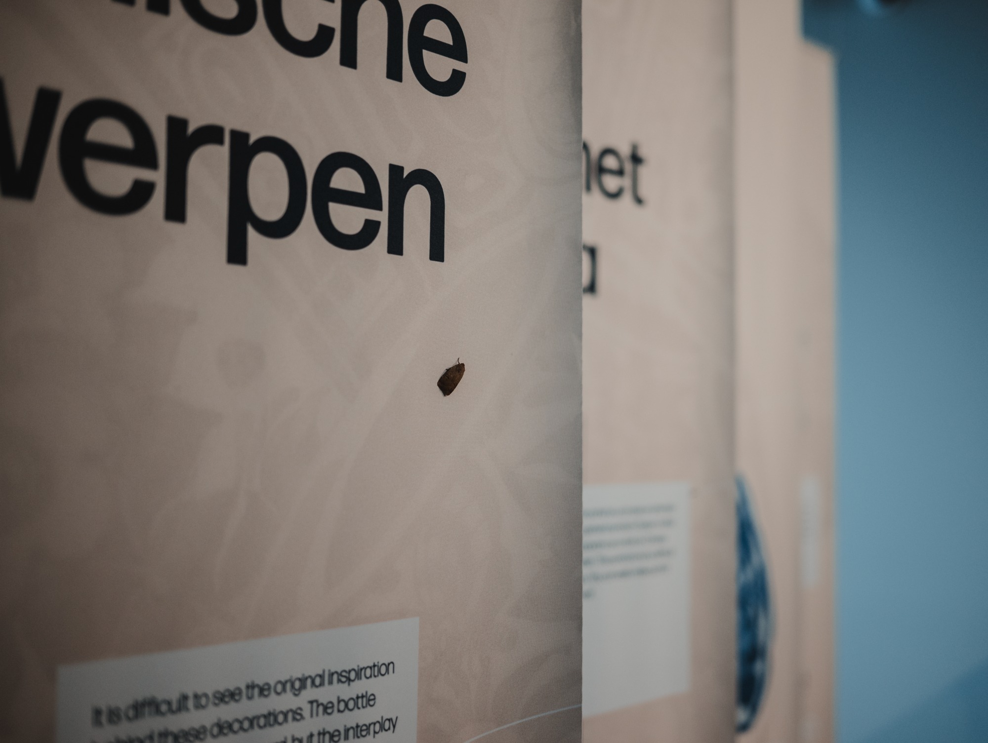 Een mot op een doek in het Royal Delft Museum