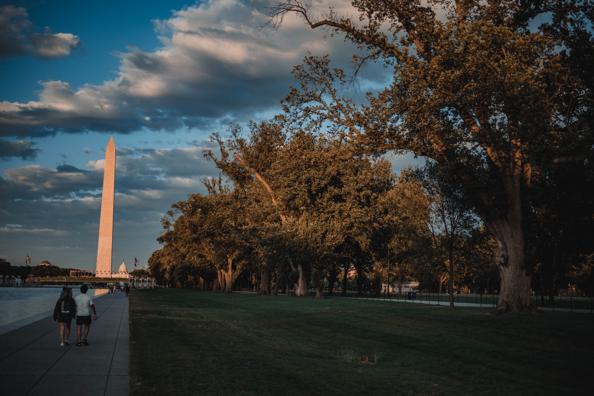 Het Washington Monument in de verte. We kijken langs bomen en de reflection pools.