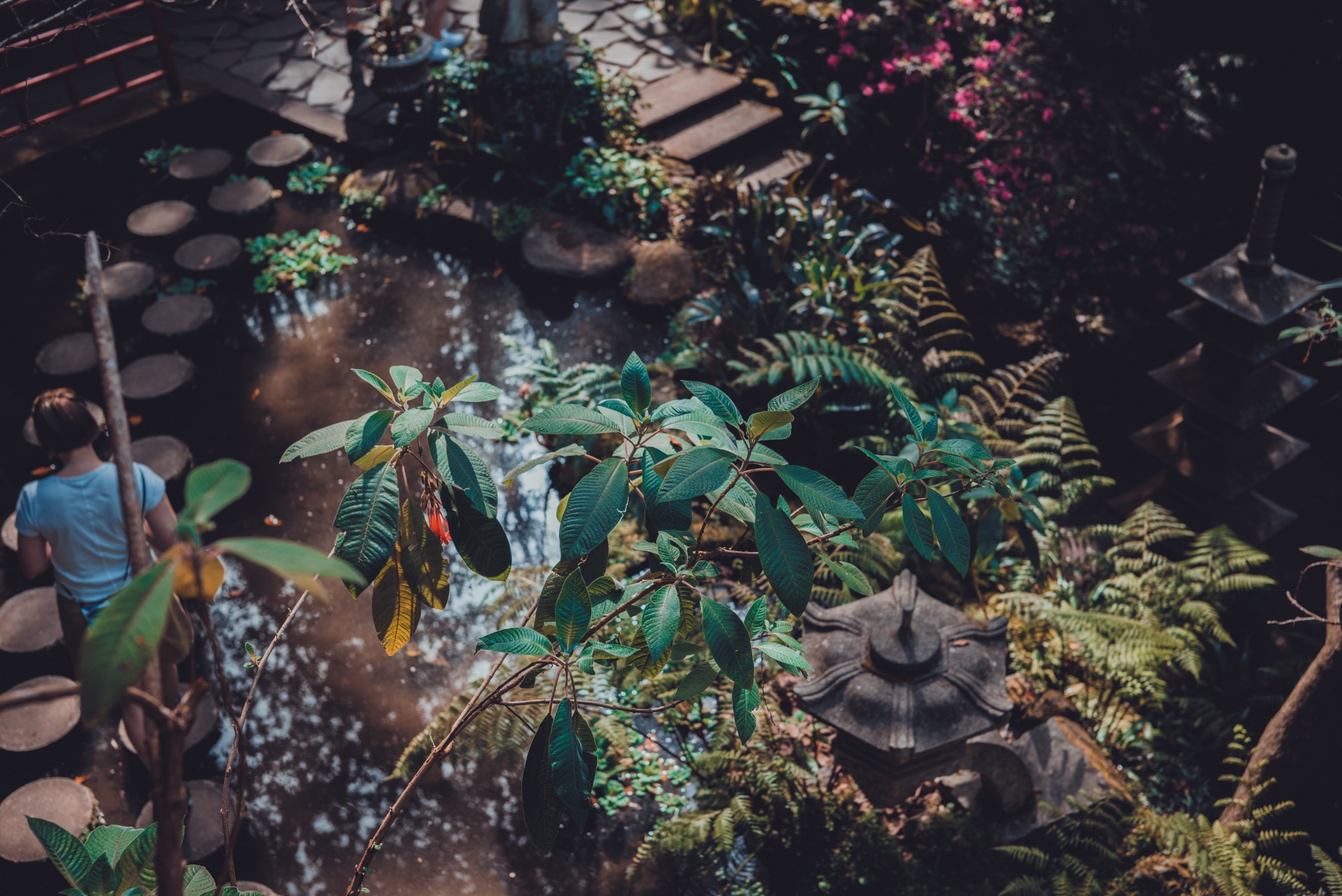 Exotische tuin