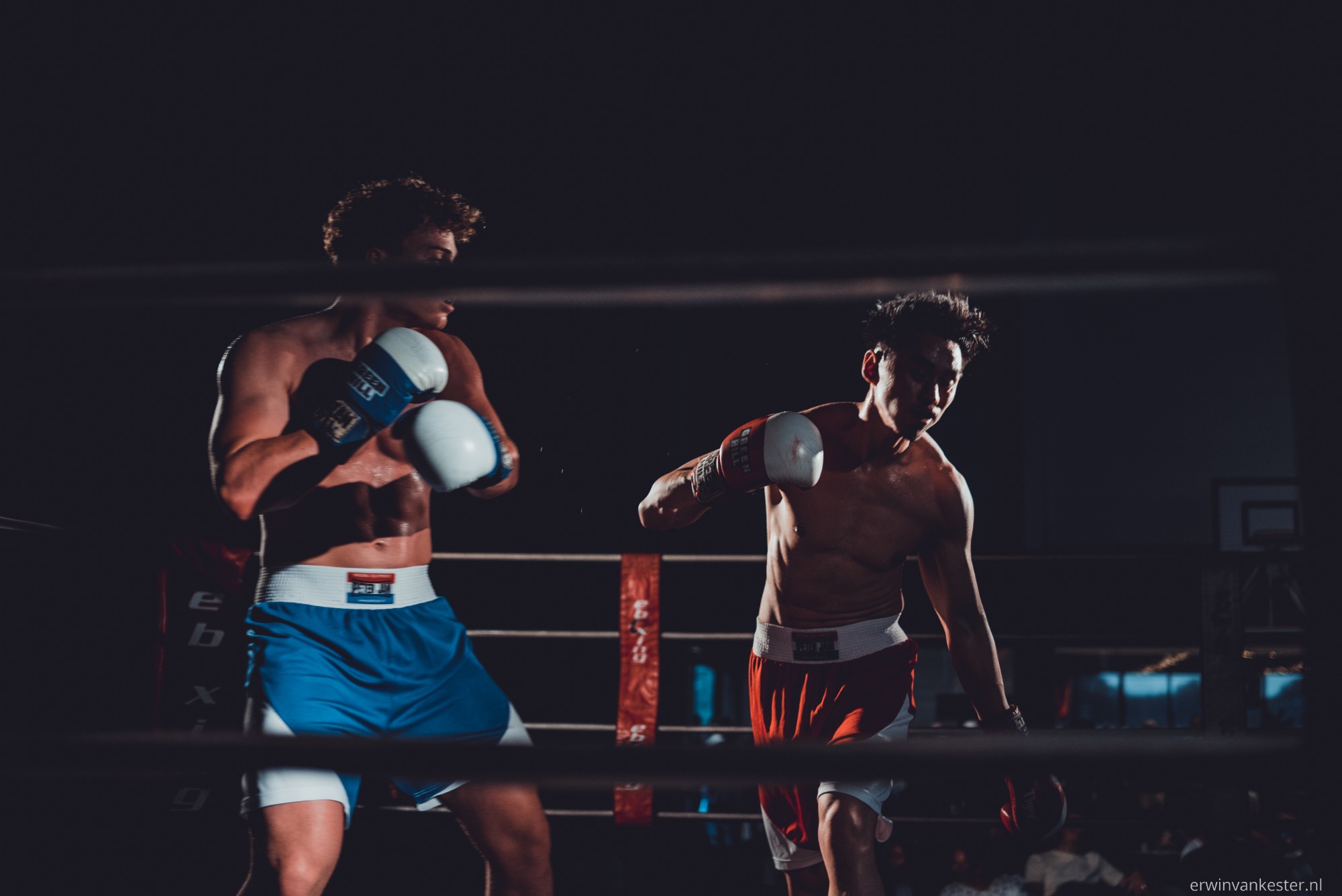 Twee boksers in de ring