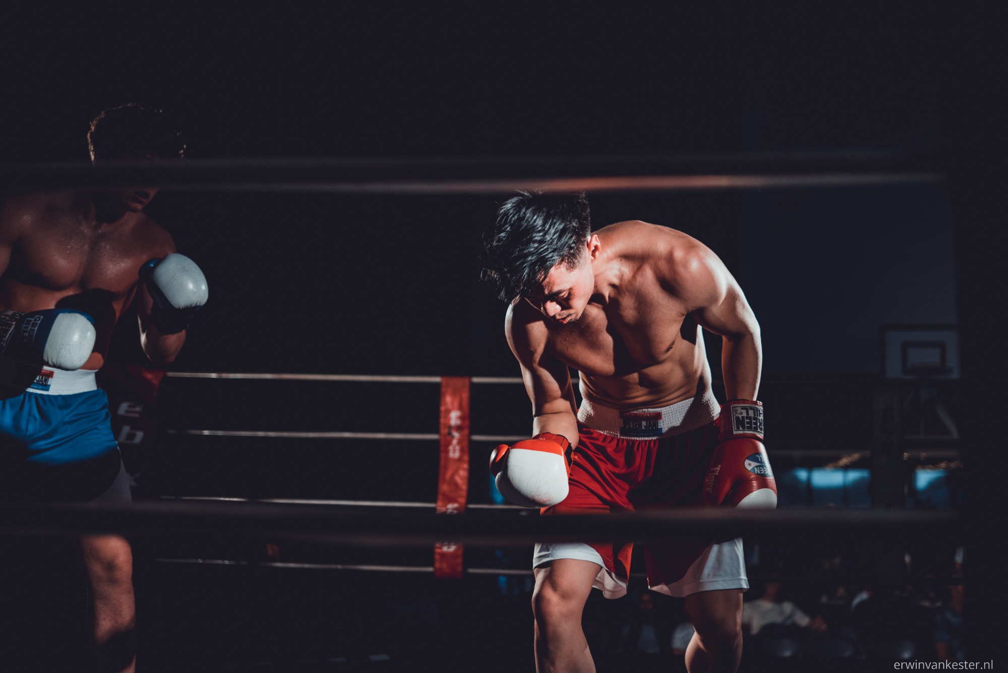 Twee boksers in de ring