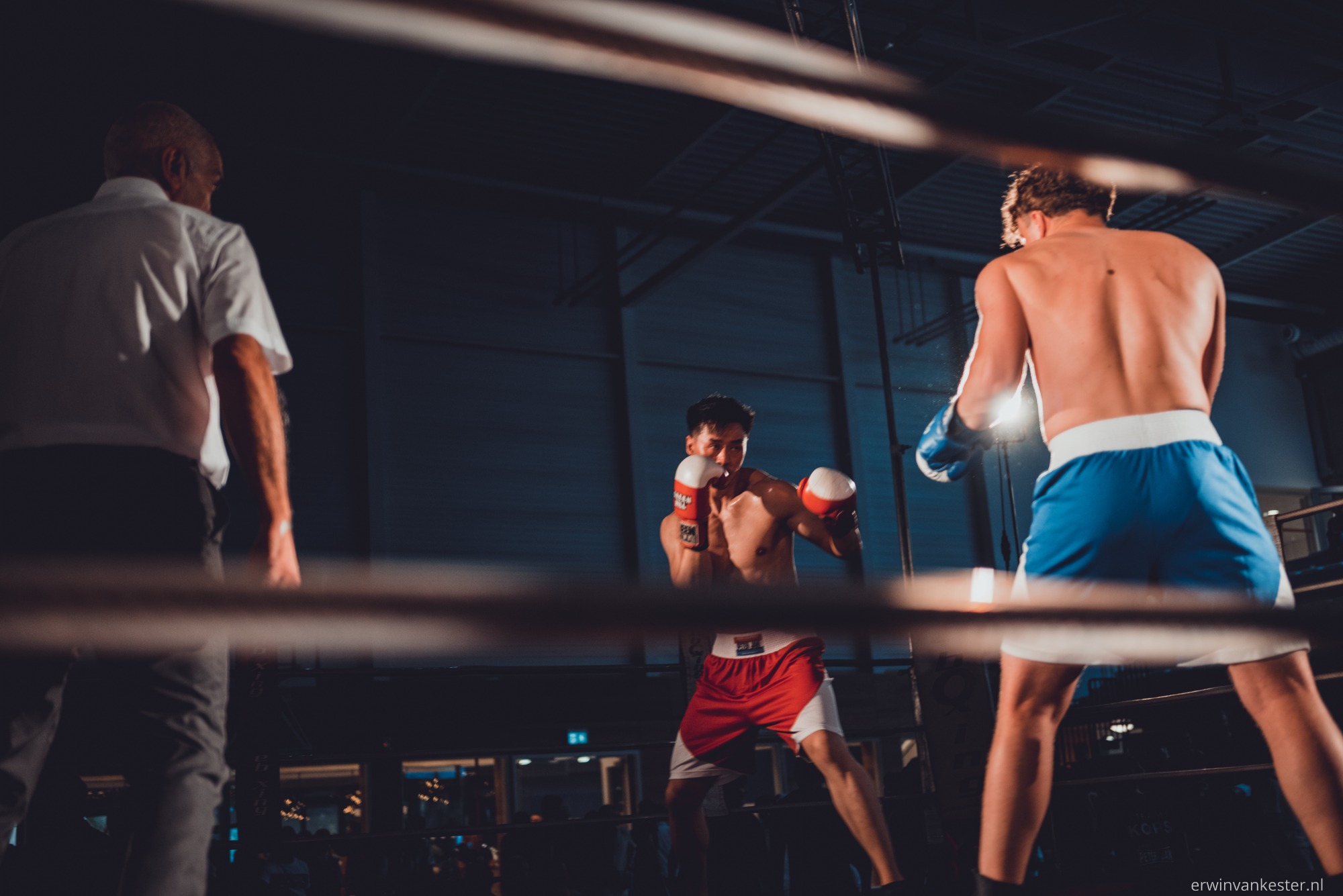 Twee boksers in de ring