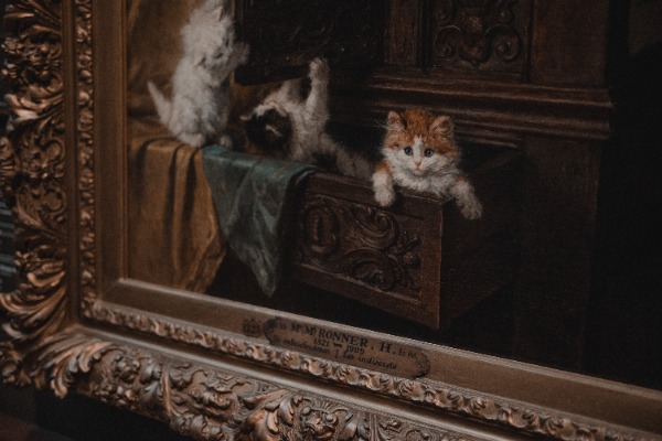 Schilderij van katten in KMSKA